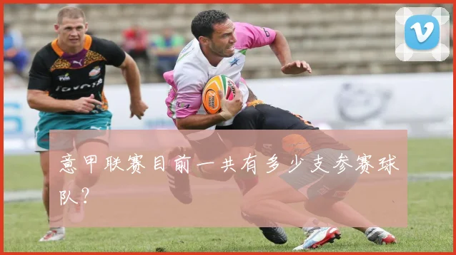 意甲联赛目前一共有多少支参赛球队？