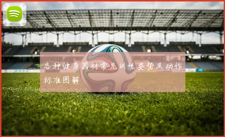 各种健身器材常见训练姿势及动作标准图解