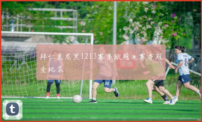 拜仁慕尼黑1213赛季欧冠决赛夺冠全纪录