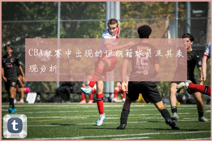 CBA联赛中出现的伊朗籍球员及其表现分析