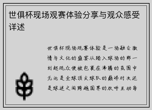世俱杯现场观赛体验分享与观众感受详述